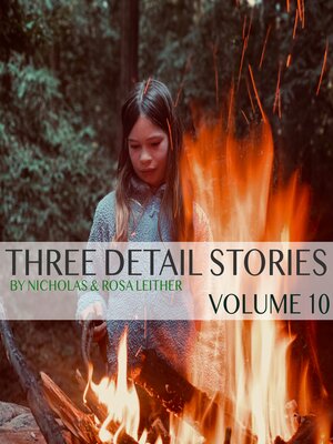 cover image of Three Detail Stories
